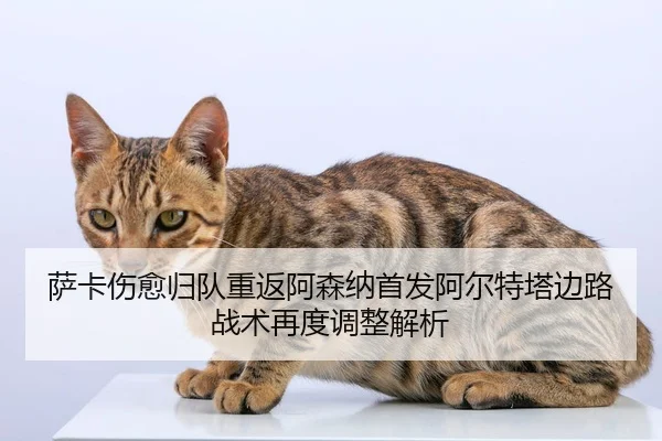 萨卡伤愈归队重返阿森纳首发阿尔特塔边路战术再度调整解析