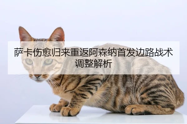 萨卡伤愈归来重返阿森纳首发边路战术调整解析