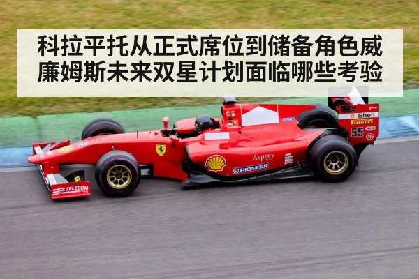 科拉平托从正式席位到储备角色威廉姆斯未来双星计划面临哪些考验