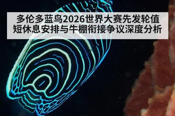 多伦多蓝鸟2026世界大赛先发轮值短休息安排与牛棚衔接争议深度分析
